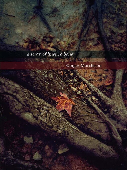 Cover image for a scrap of linen, a bone